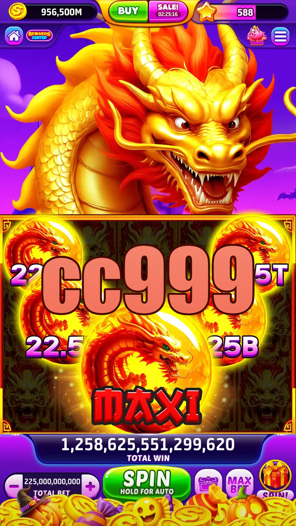 cc999 Login